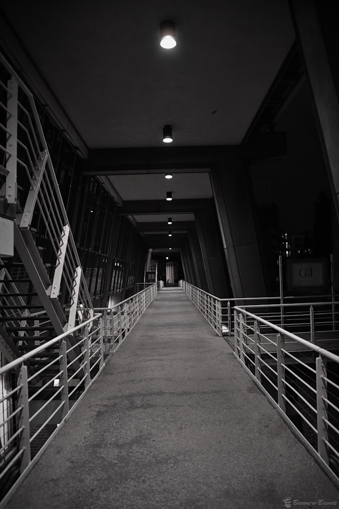 DSC 8048sw