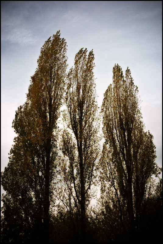DSC 8053
