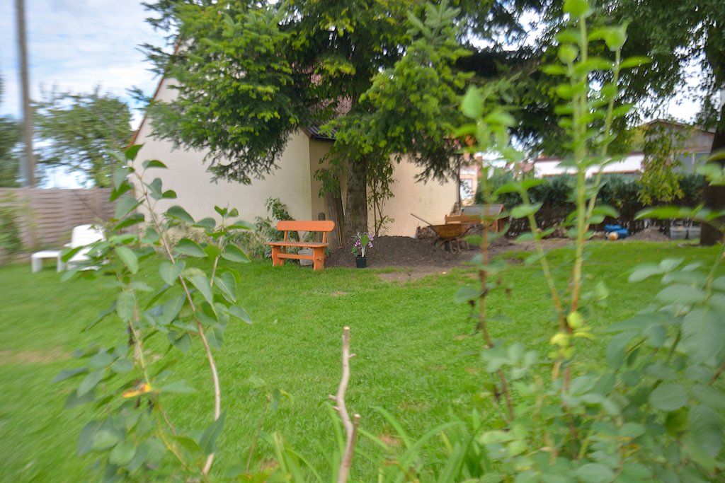 DSC 8063
