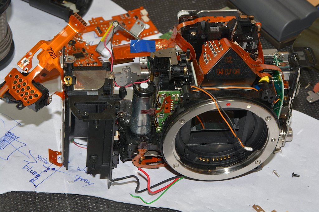 DSC 8066