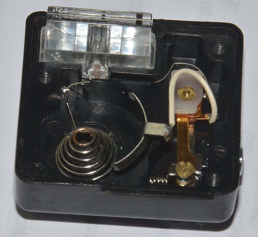 DSC 8081