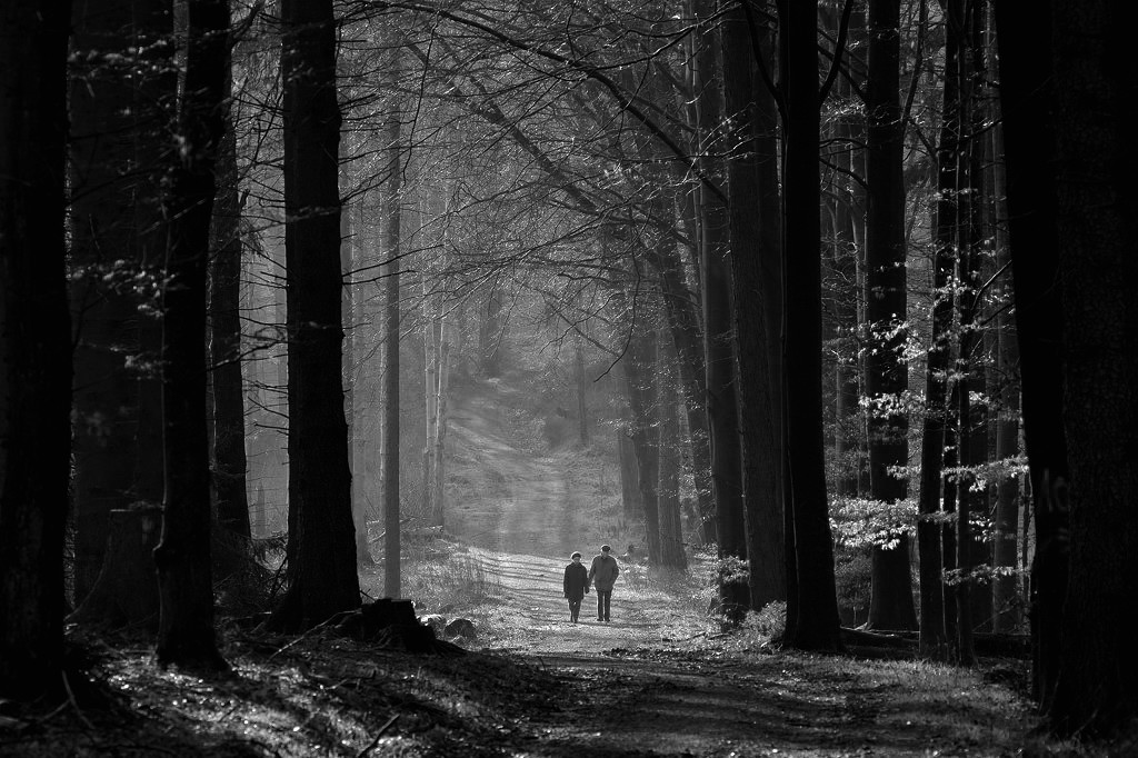 DSC 8094 bearbeitet klein B&amp;W