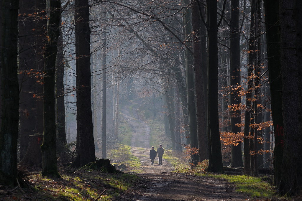 DSC 8094 bearbeitet klein
