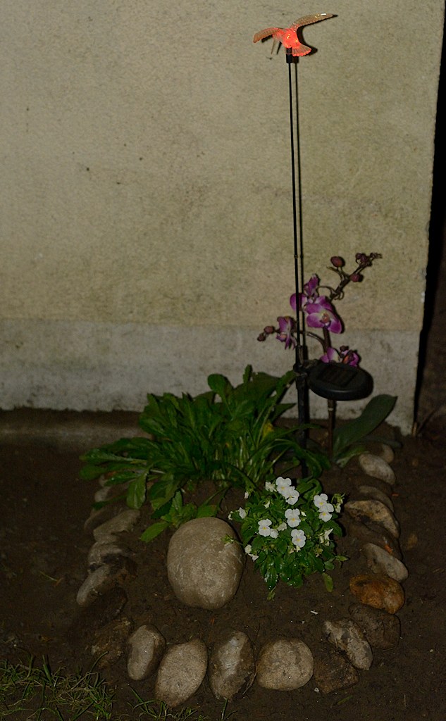 DSC 8099