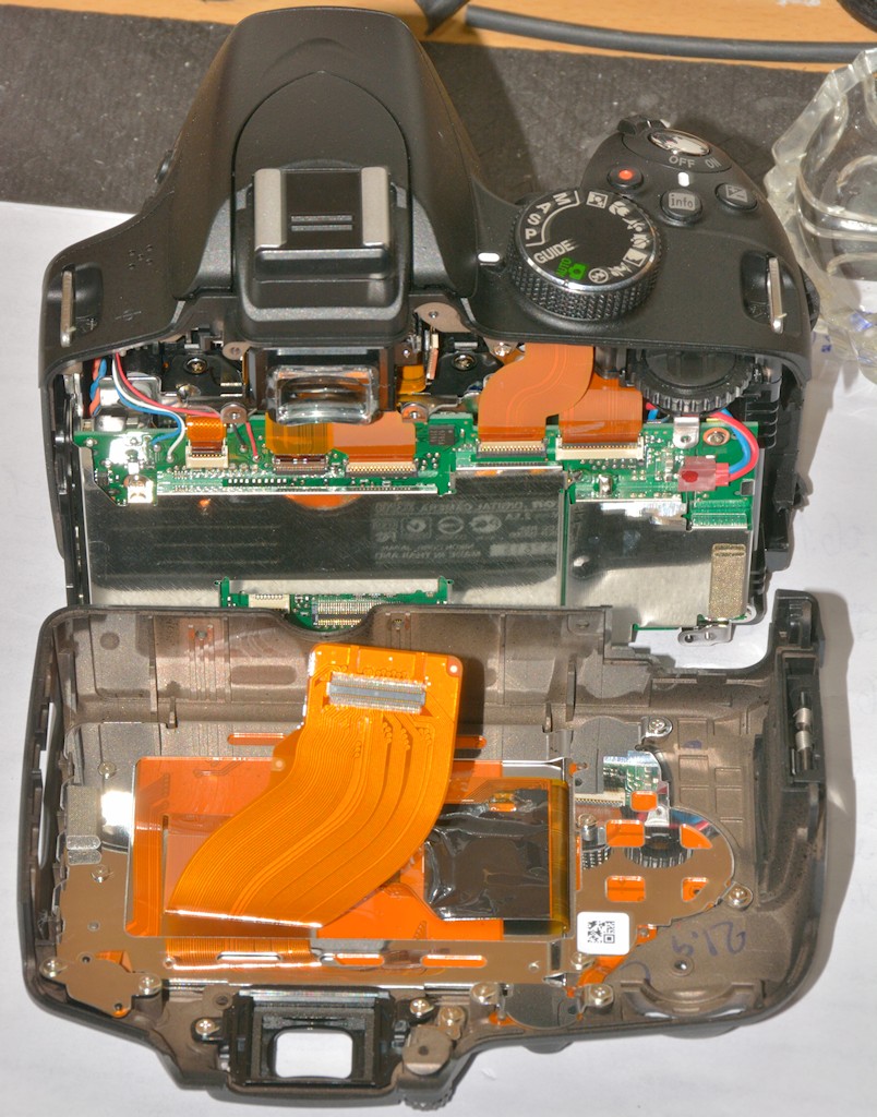 DSC 8117