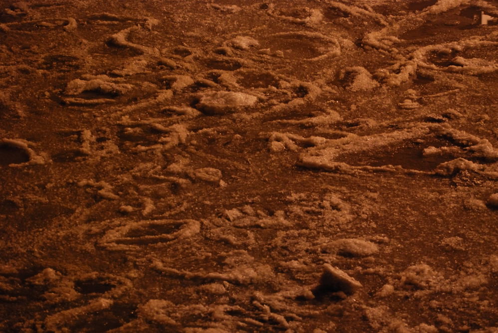 DSC 8125