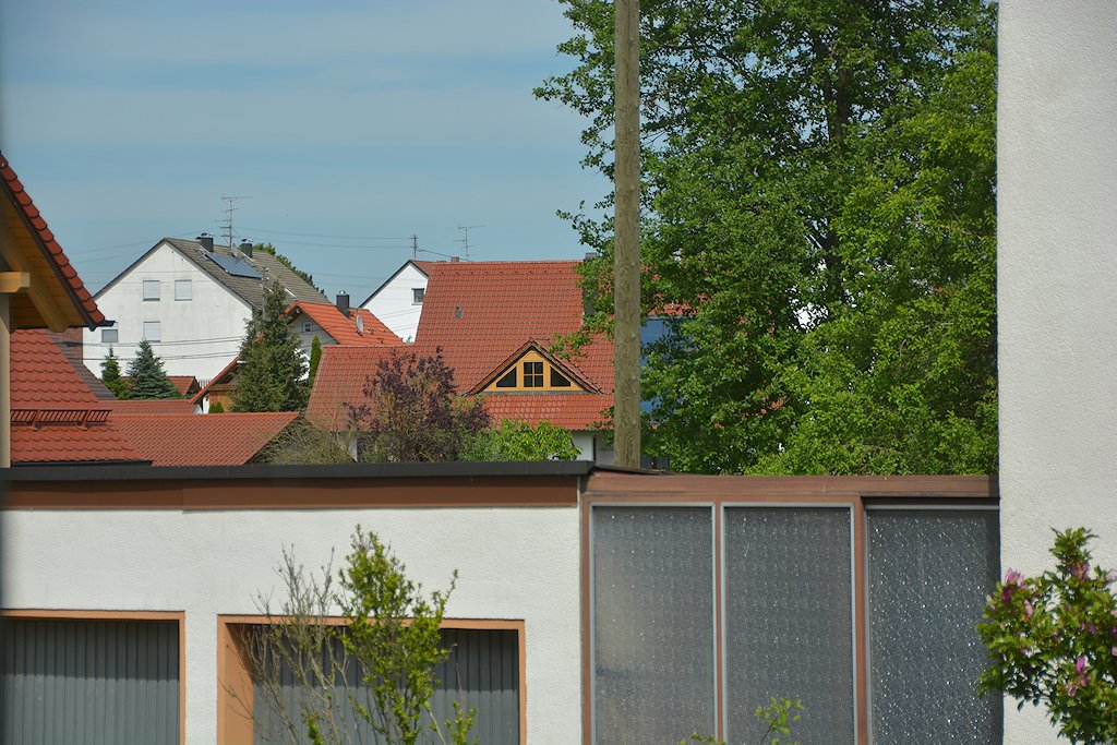 DSC 8137