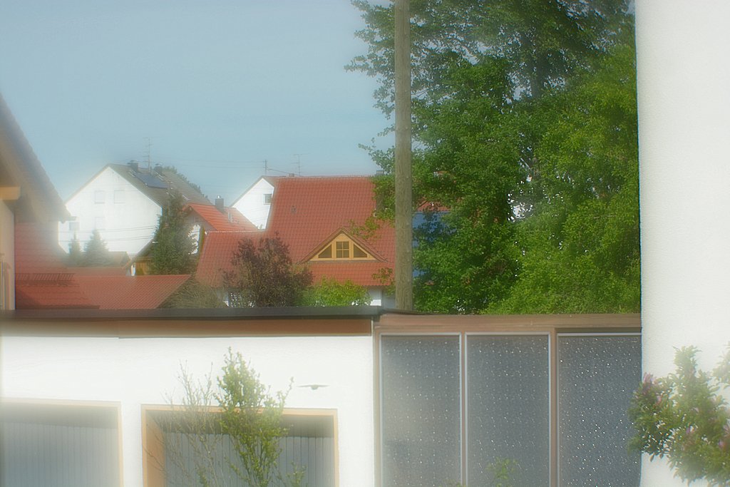 DSC 8149