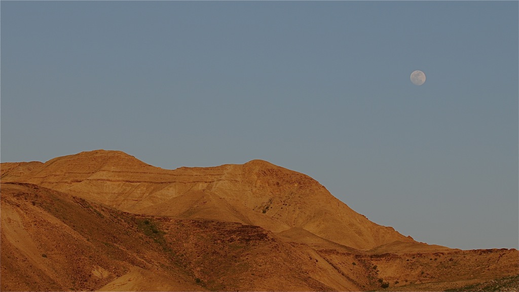 DSC 8159