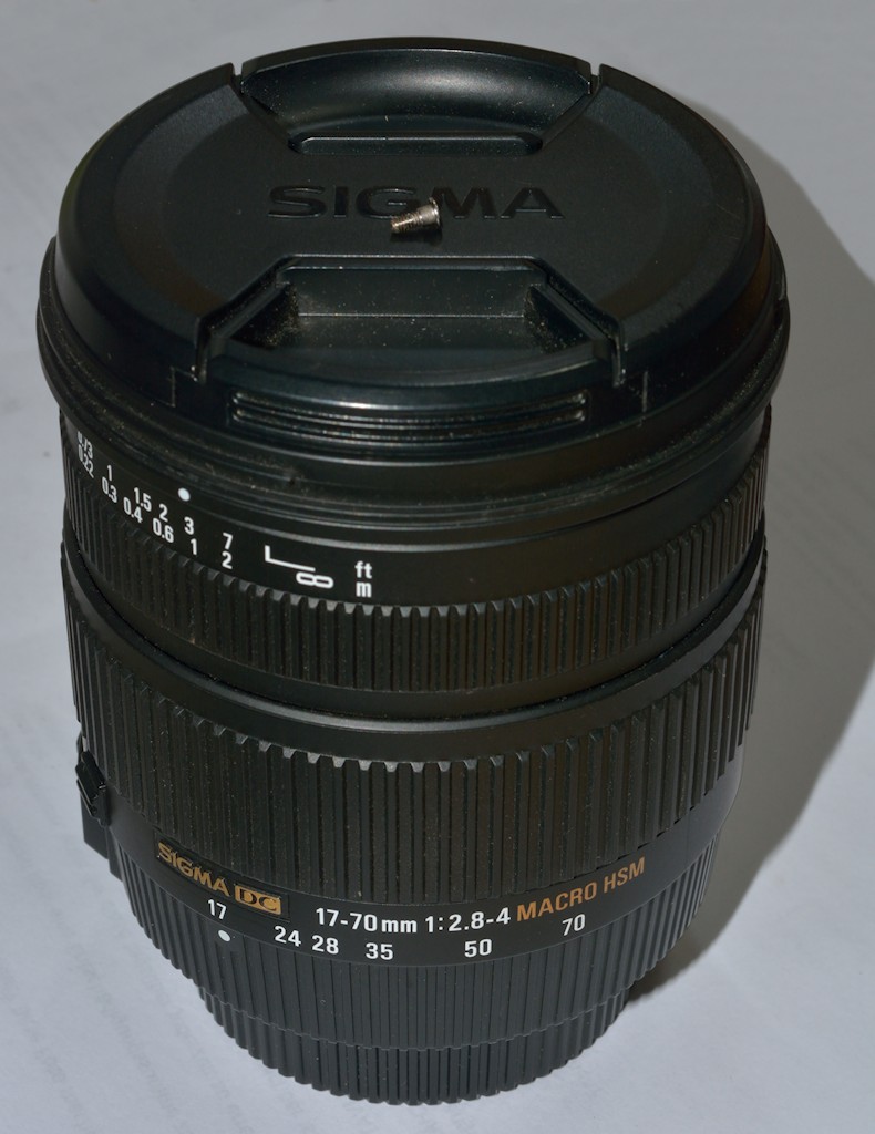 DSC 8167