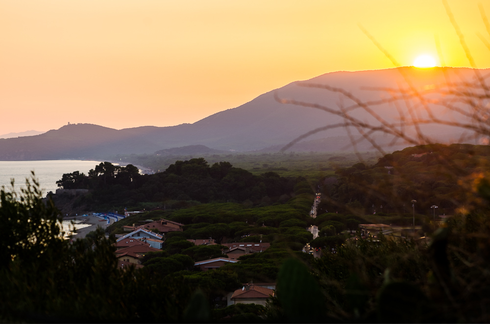 DSC 8168 HDR