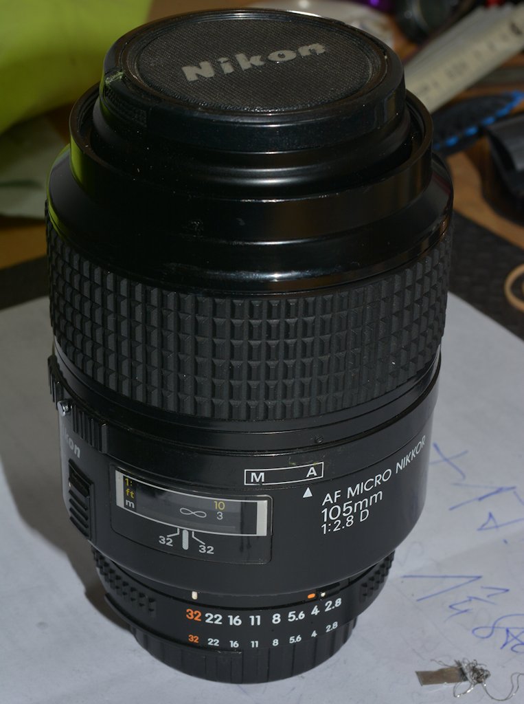 DSC 8176