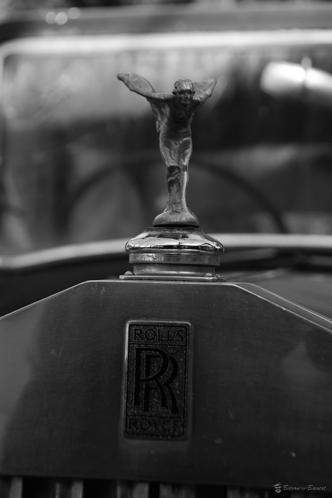 DSC 8176sw