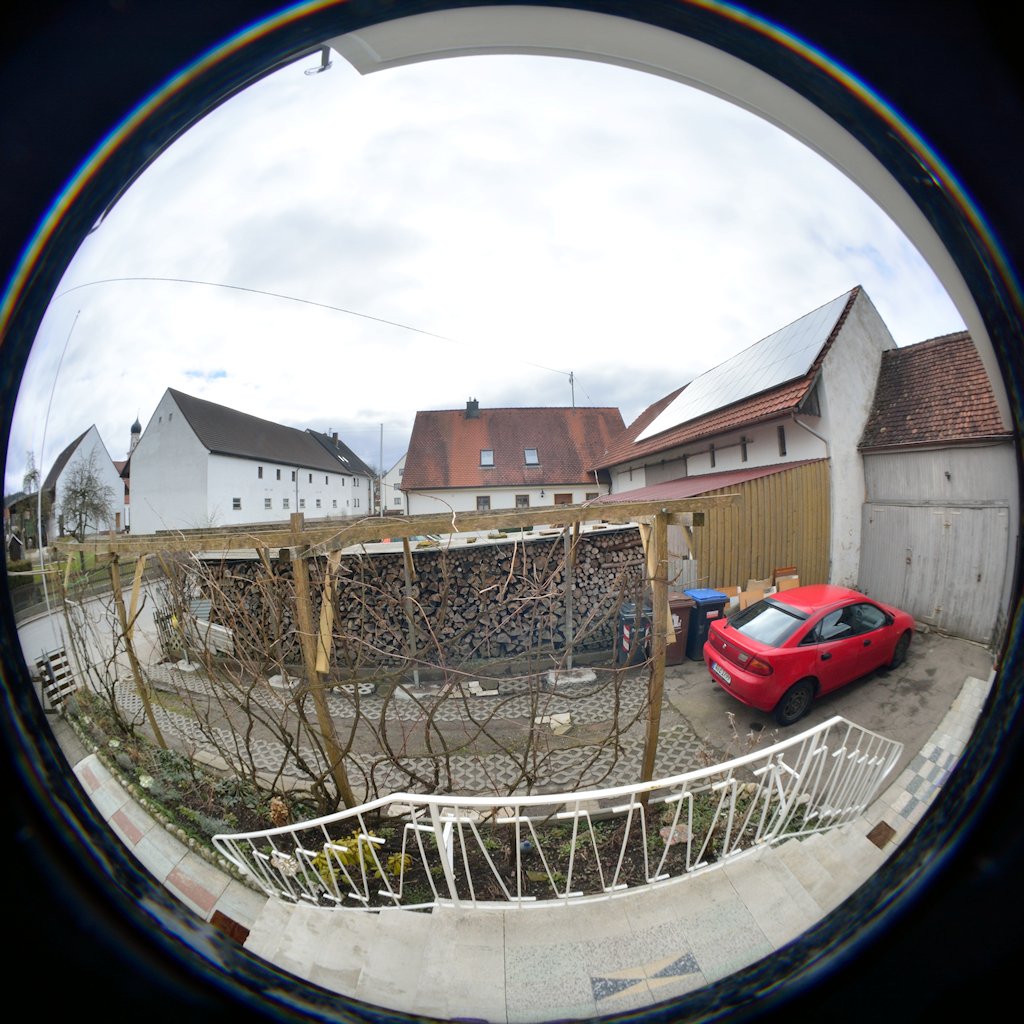 DSC 8181