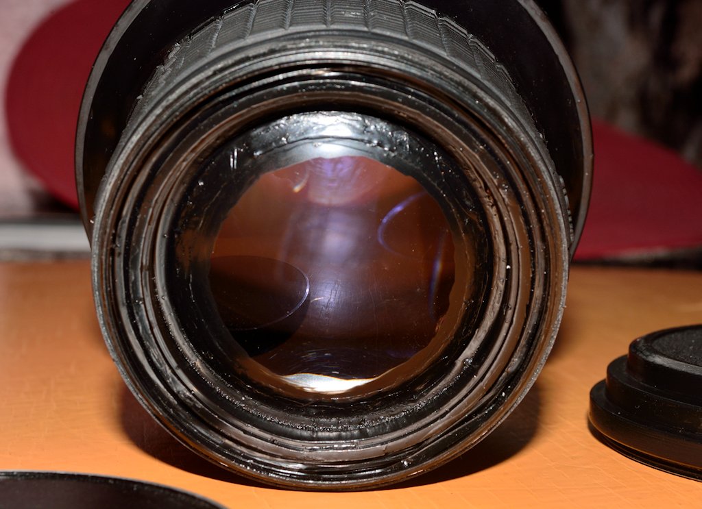 DSC 8183