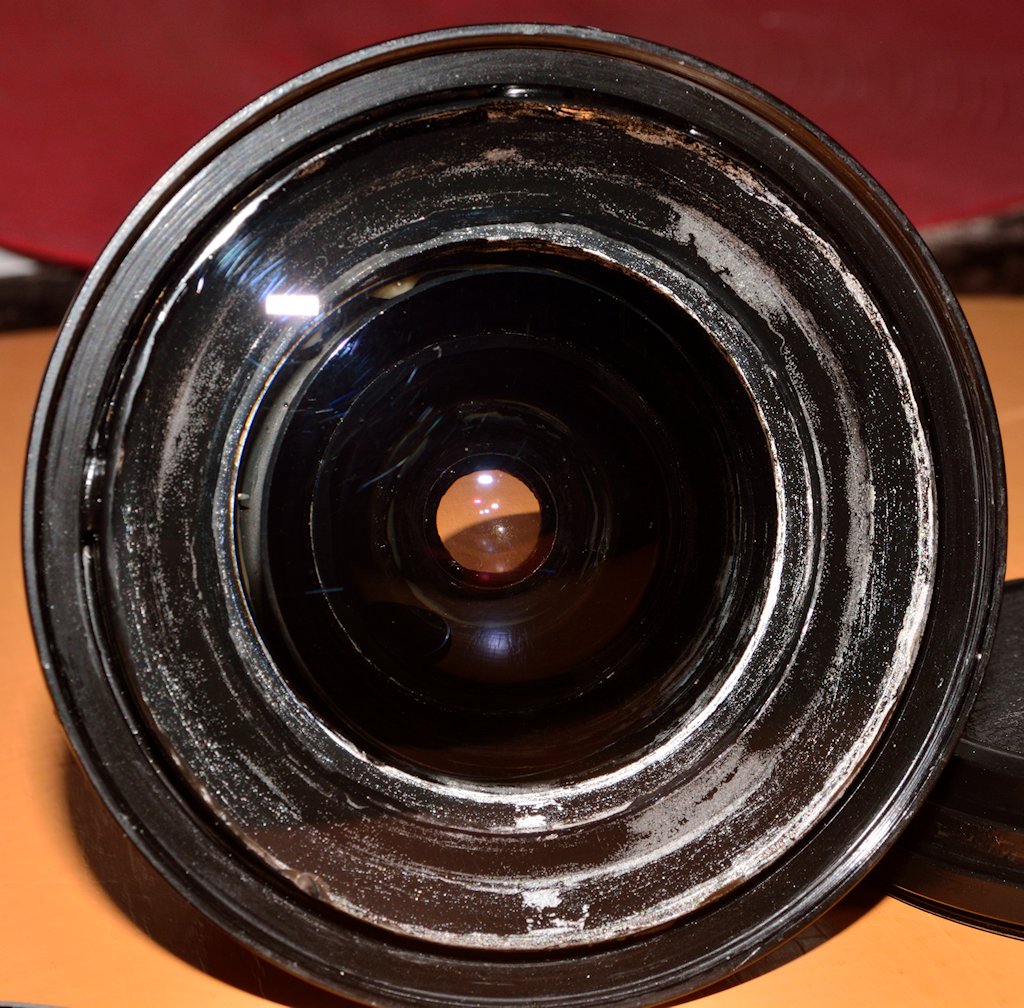 DSC 8184