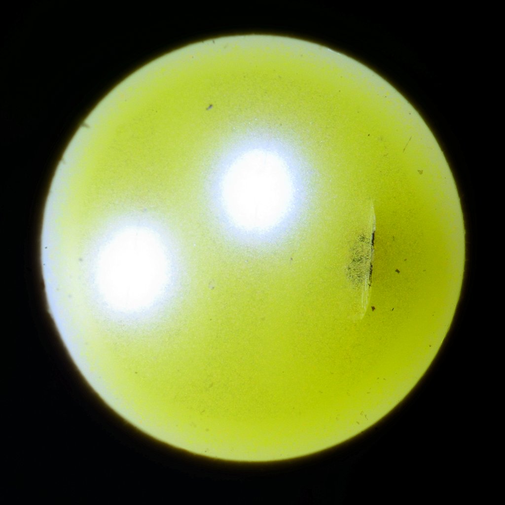 DSC 8192