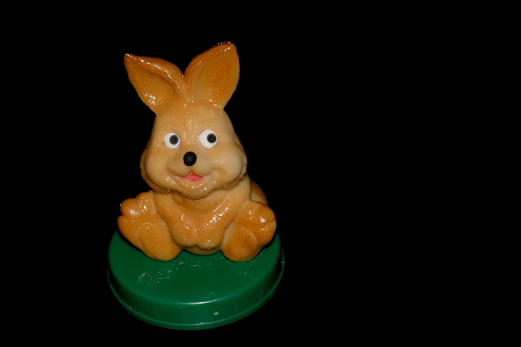 DSC 8205