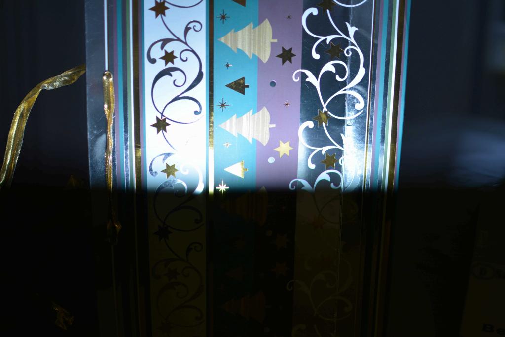 DSC 8214