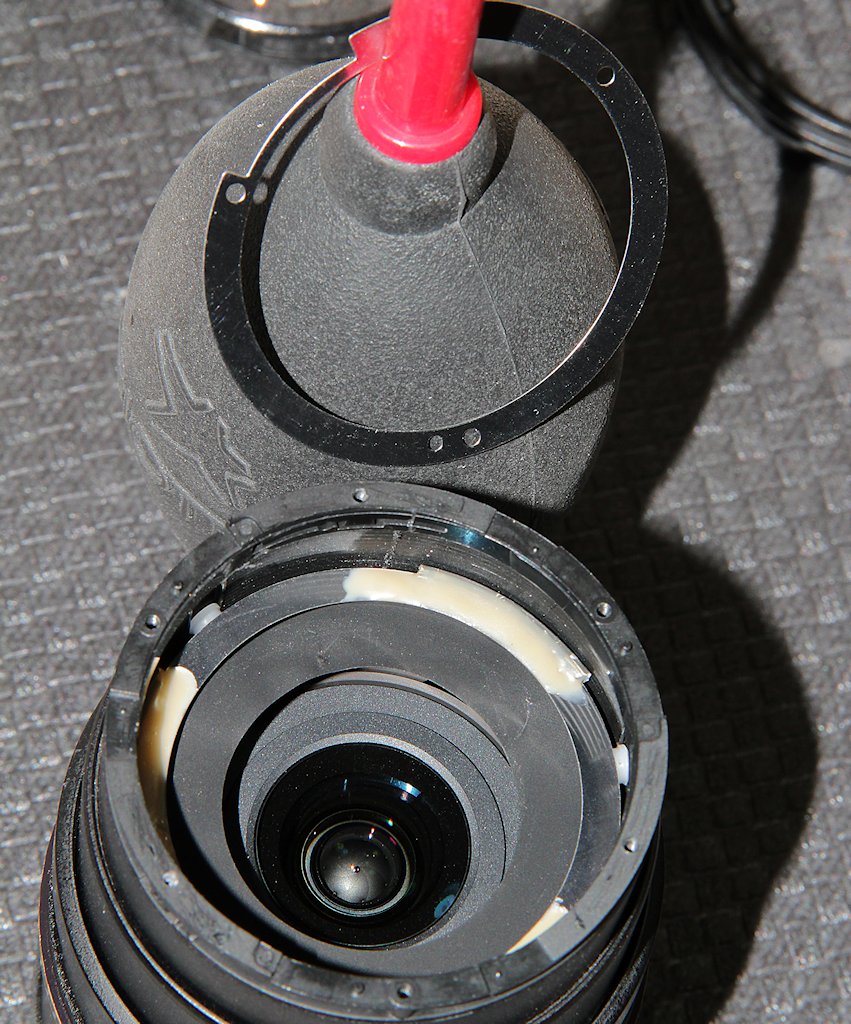 DSC 8217