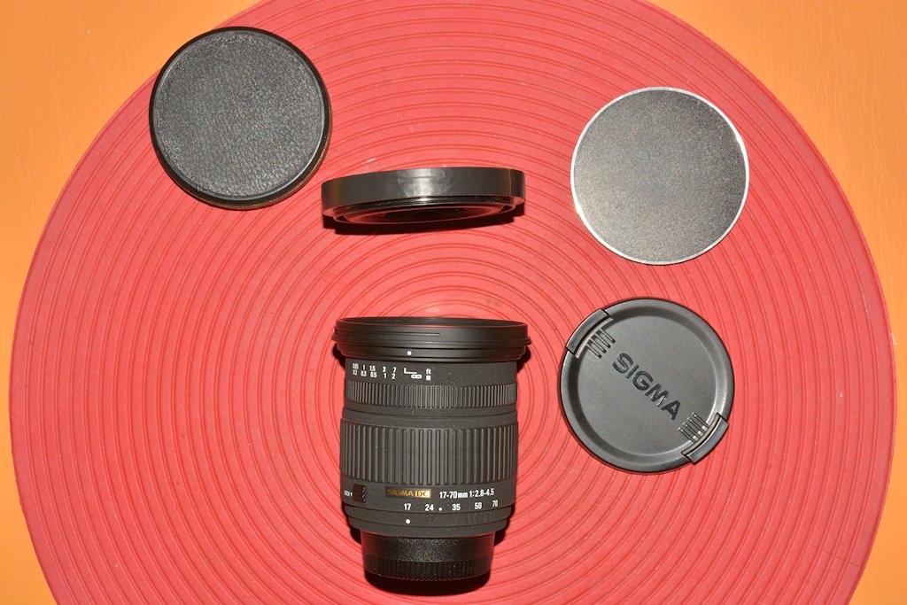 DSC 8268