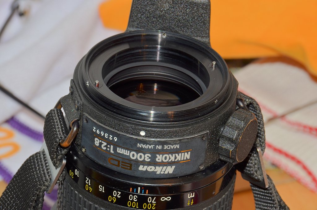 DSC 8287