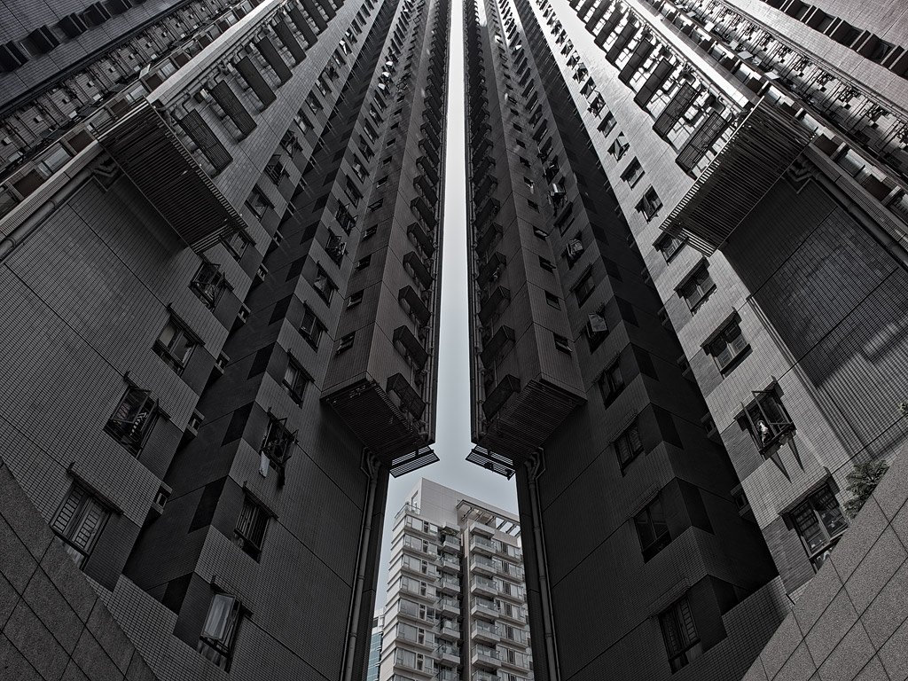 DSC 8300