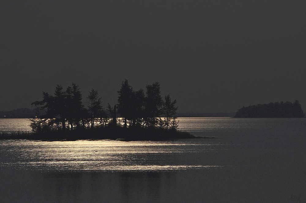 DSC 8331 Vollmond