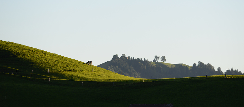 DSC 8347kws