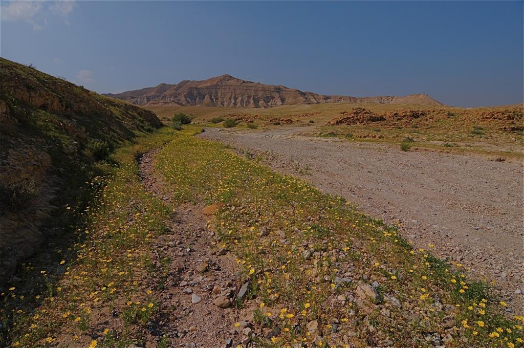 DSC 8365