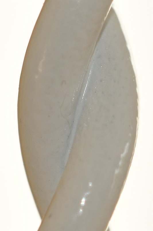 DSC 8366