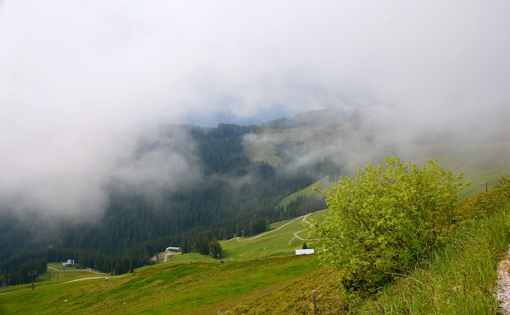 DSC 8367
