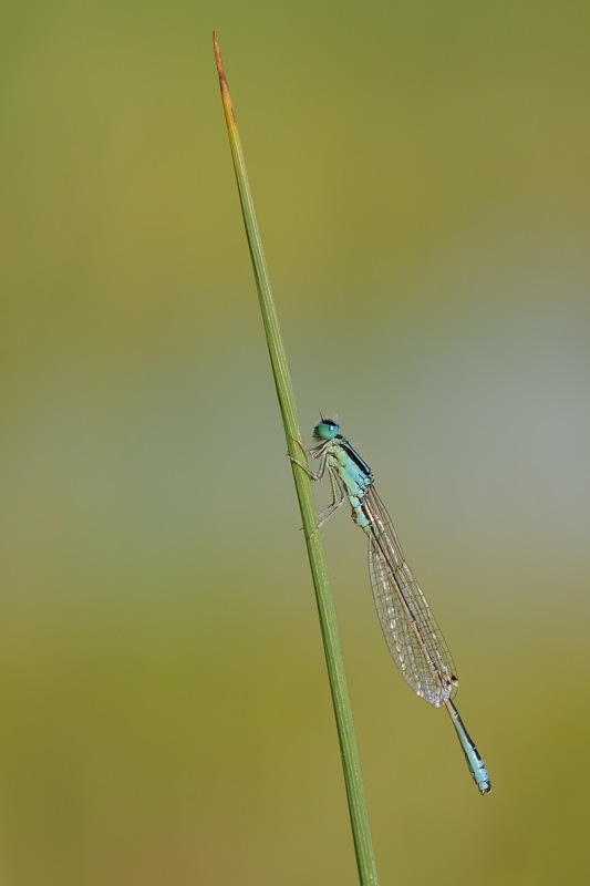 DSC 8370