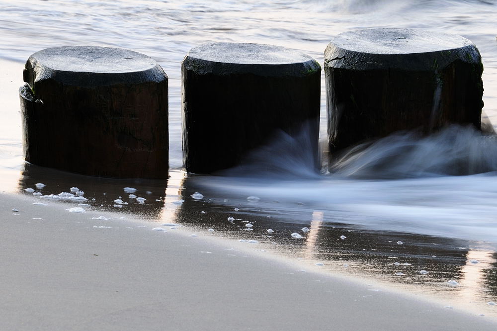 DSC 8468