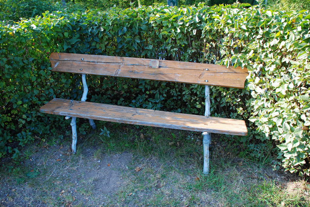 DSC 8472 Größe ändern