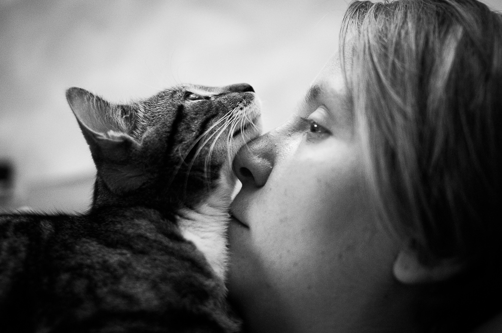 DSC 8481