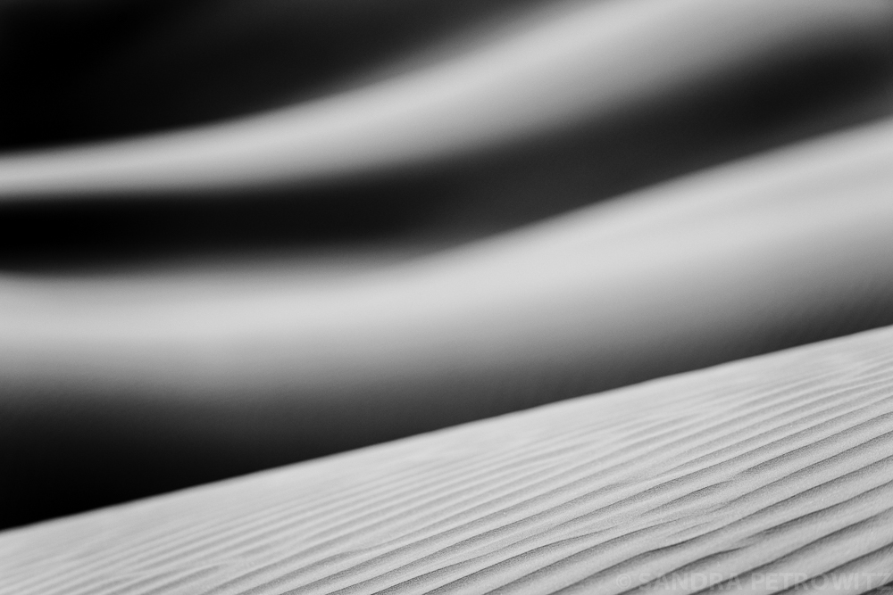DSC 8515 BW