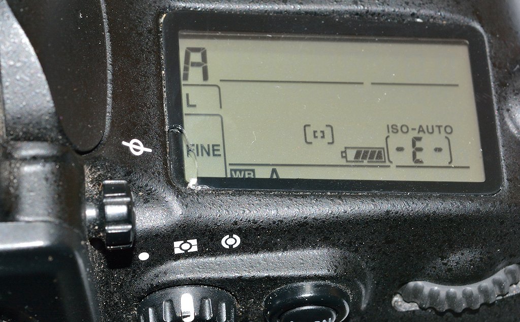 DSC 8524