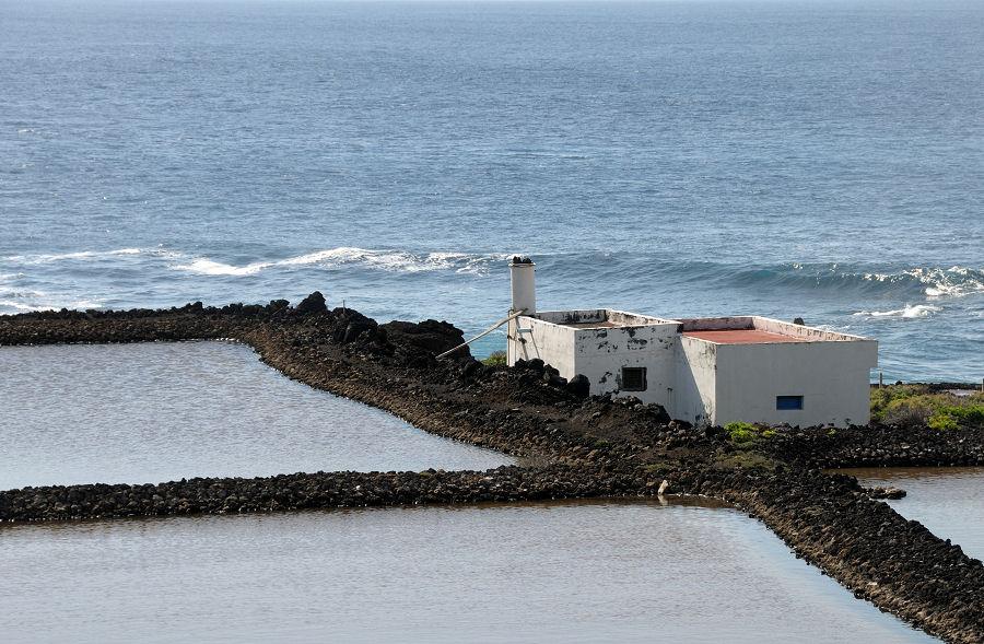 DSC 8535