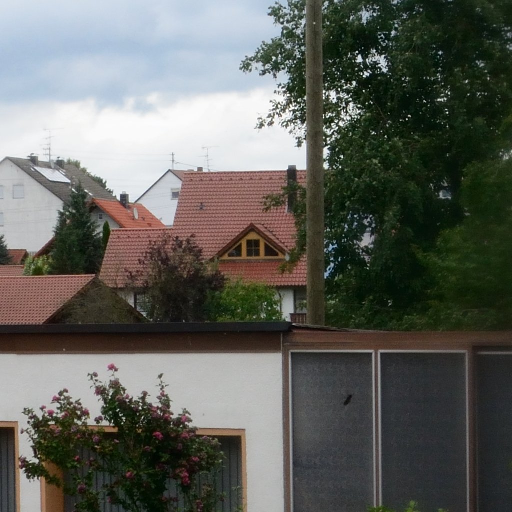 DSC 8537