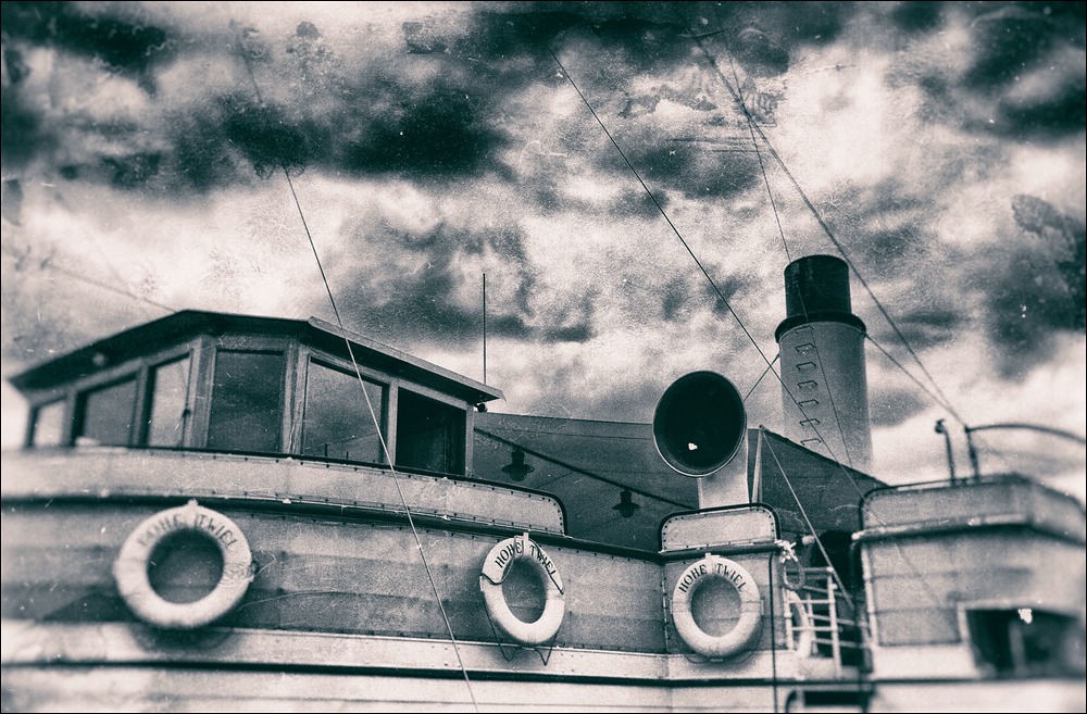 DSC 8539