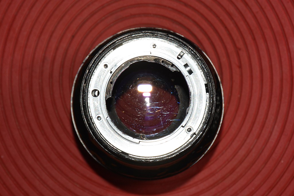 DSC 8541