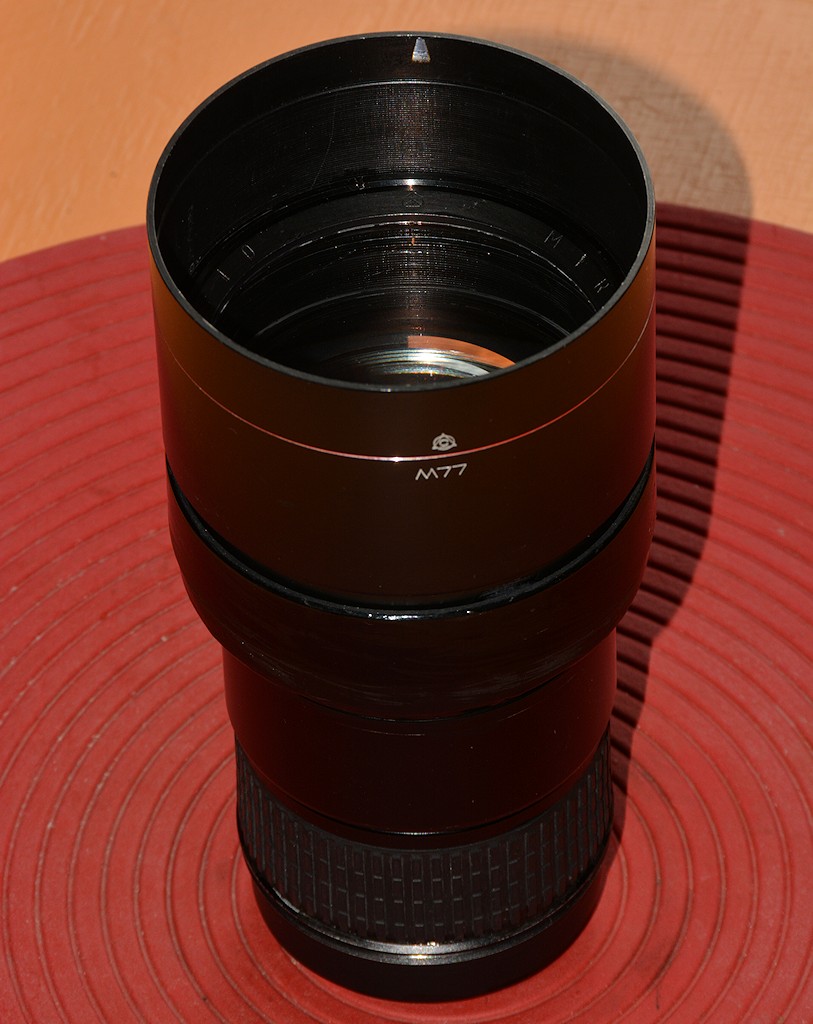 DSC 8542