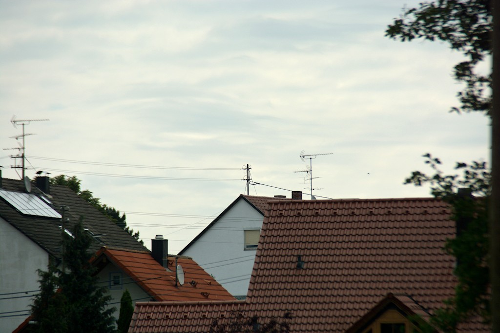 DSC 8543