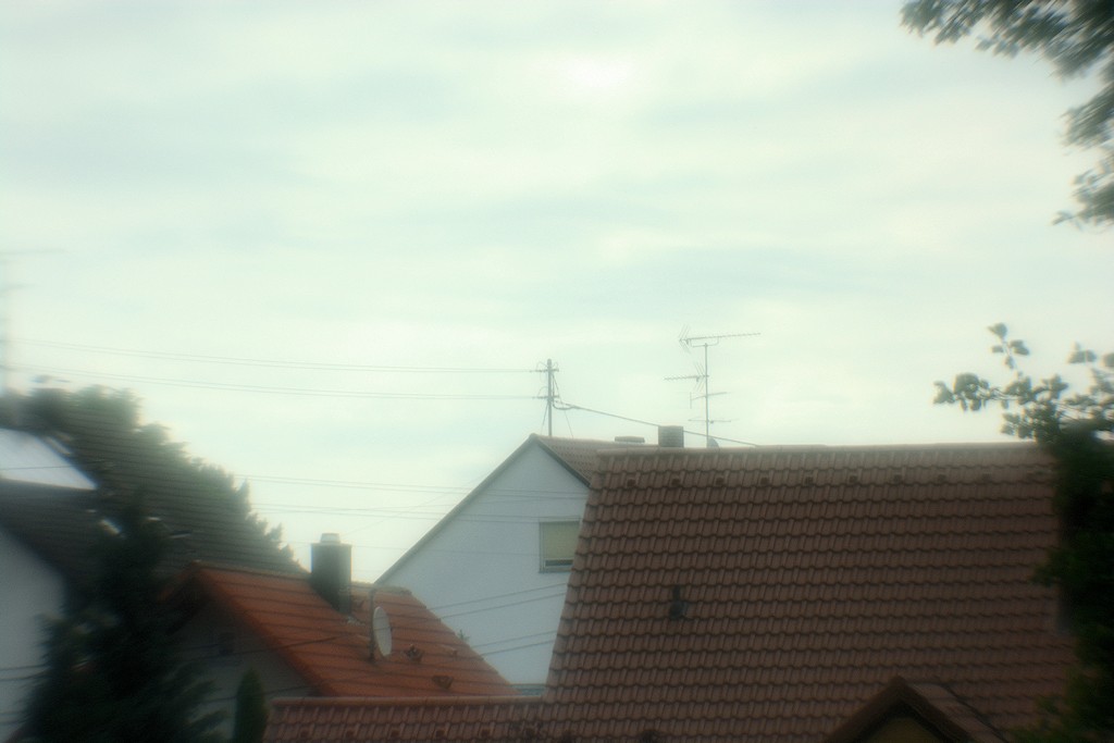 DSC 8544