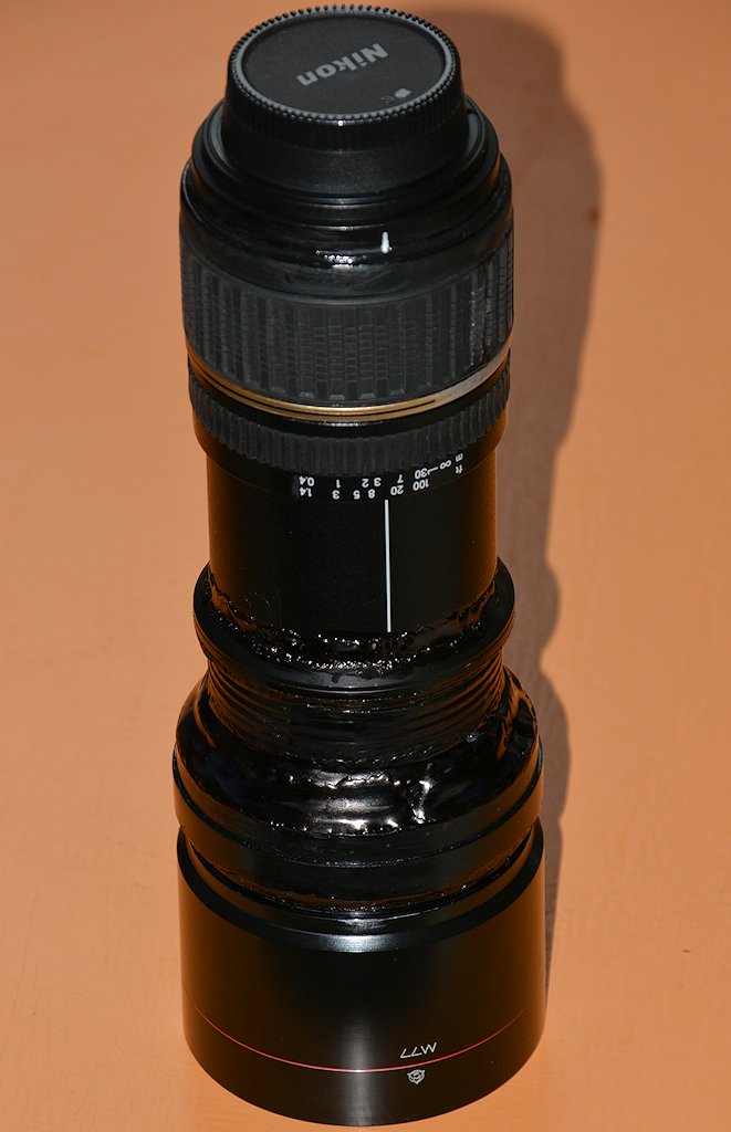 DSC 8548