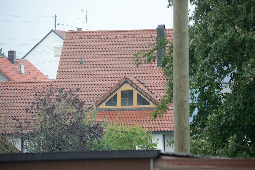 DSC 8550