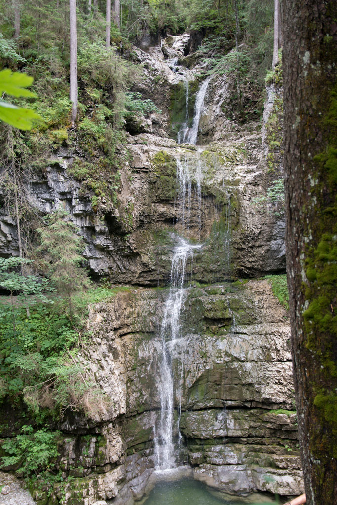 DSC 8551