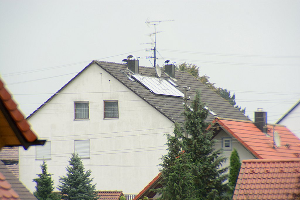 DSC 8553