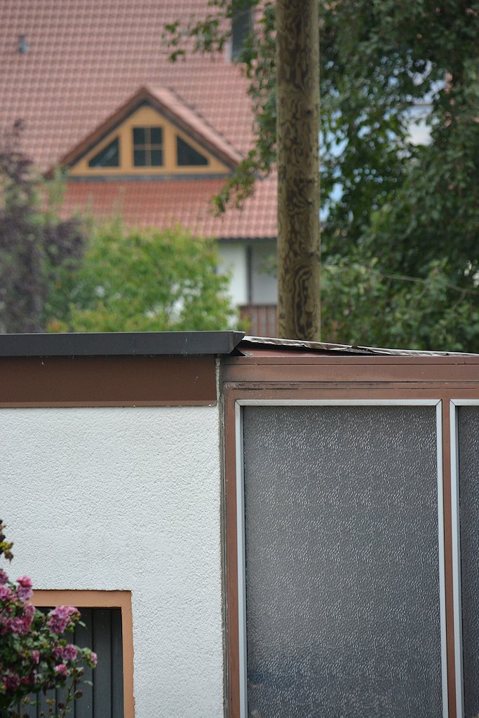 DSC 8569